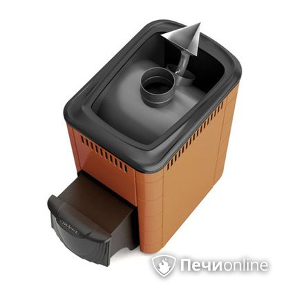 Дровяная банная печь TMF Ангара 2012 Inox терракота в Пензе